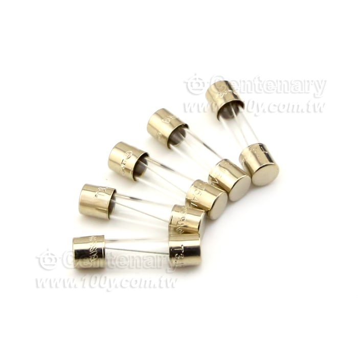 歐規慢熔 2.5A/250V - 27986 產品圖片