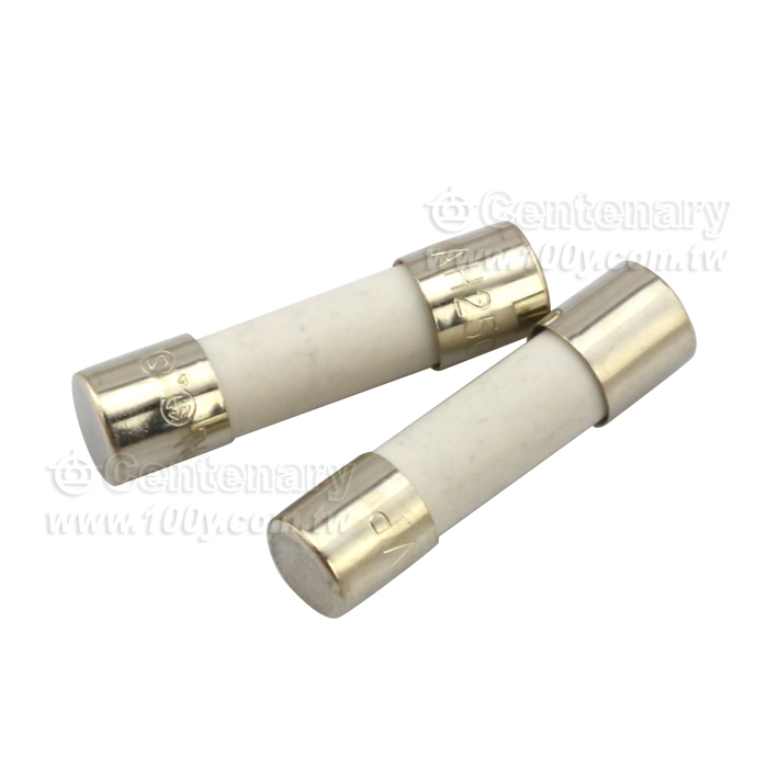 10A/250V 快熔保險絲 - 85453 產品圖片