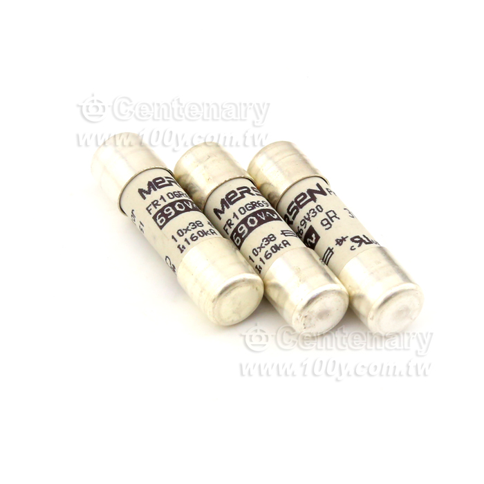 保險絲30A/690VAC - 89953 產品圖片