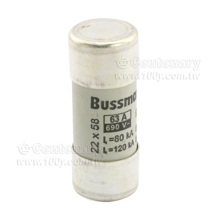 IEC 125A/400V 22*58 - 39156 產品圖片