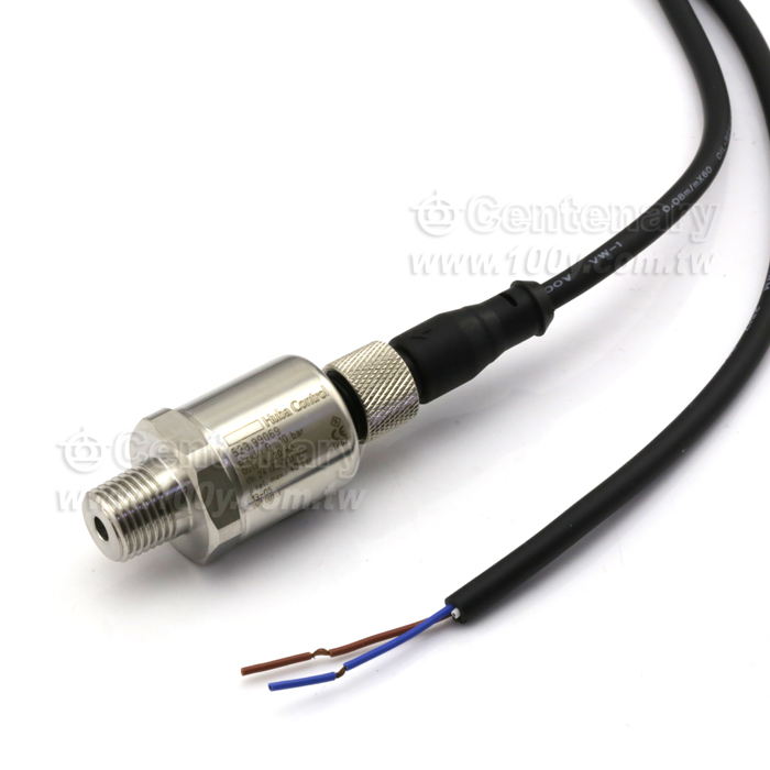 Relative and absolute pressure transmitter - 91216 Product Image