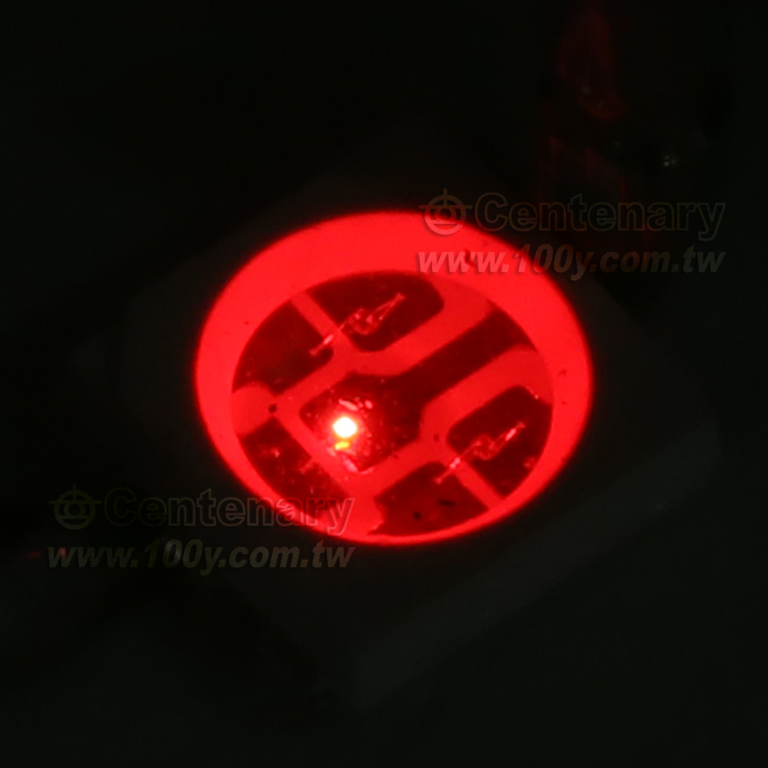 5050 LED 2V/20mA 紅綠藍(RGB) - 91602 產品圖片