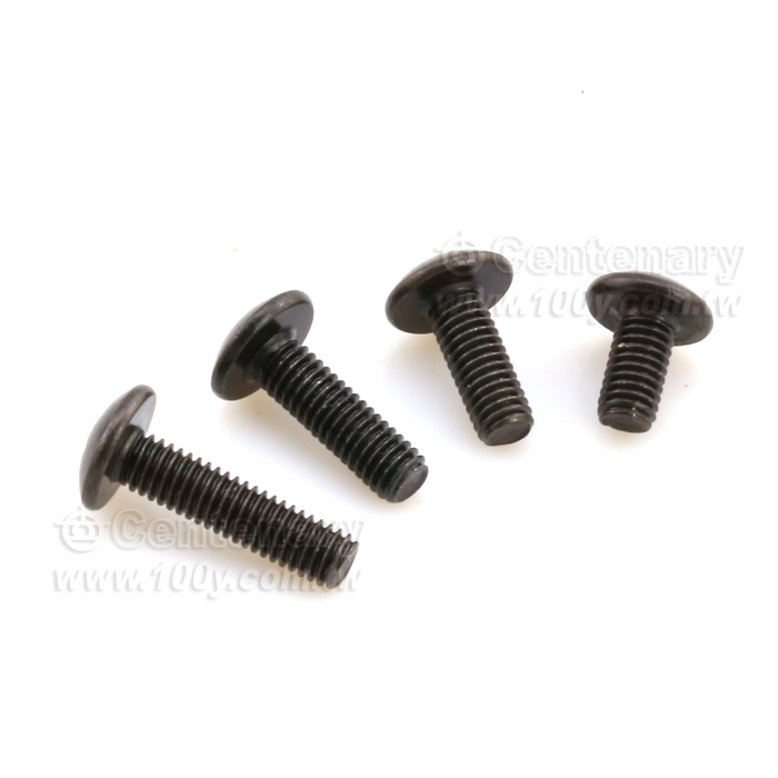 大扁頭螺絲 ⊕字 M3*12 - 111012 產品圖片