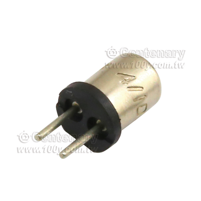 Littelfuse_2A/125V保險絲 - 37313 產品圖片