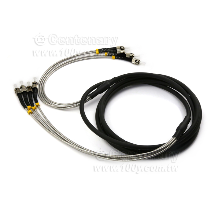 Optical Fiber - 125359 Product Image