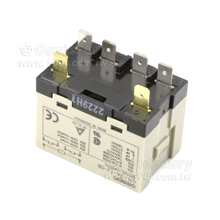 繼電器 DPST-NO DC24V - 99734 產品圖片