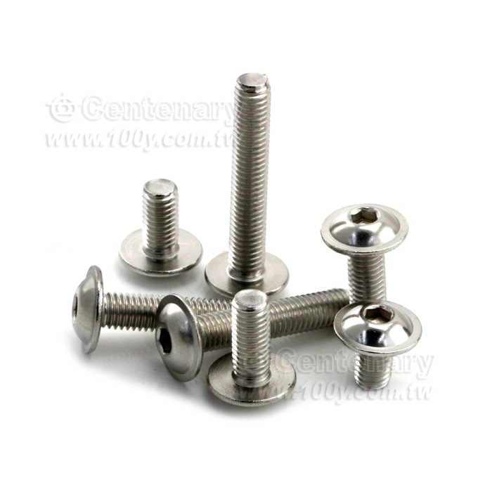 304-圓頭內六角帶墊螺絲-M5*40 - 163676 產品圖片