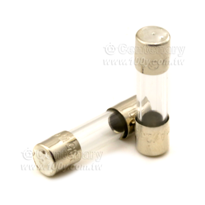 快熔保險絲 300mA/250V - 96773 產品圖片