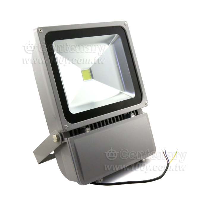 100W LED投光燈 正白光 AC85-265V - 109441 產品圖片