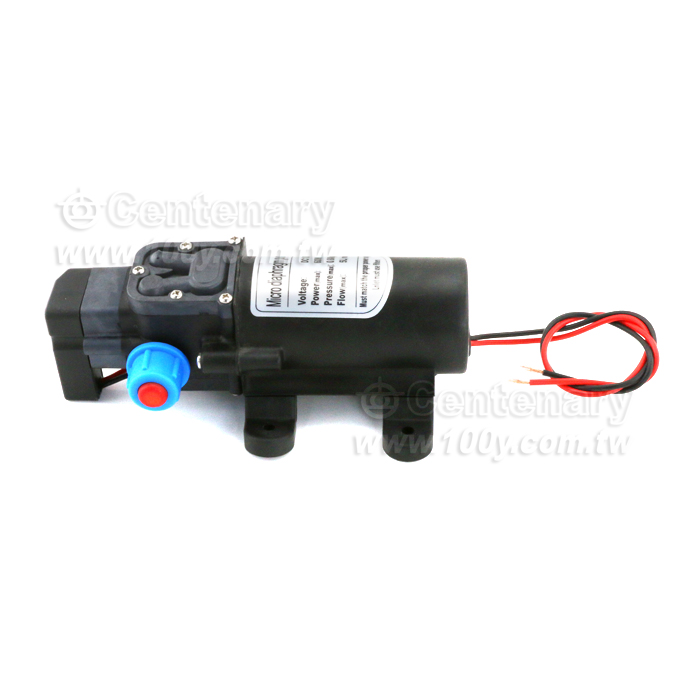 12V直流水泵60W-0.8Mpa 5L/Min-吸程：2米 - 142603 產品圖片