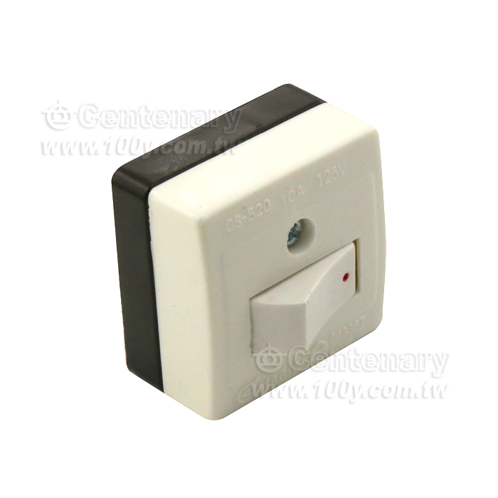 平開關檢驗品 10A/125V - 96588 產品圖片