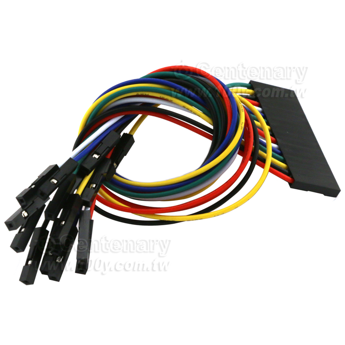 杜邦母座2.54mm單排16pin–1pin-20cm - 144820 Product Image