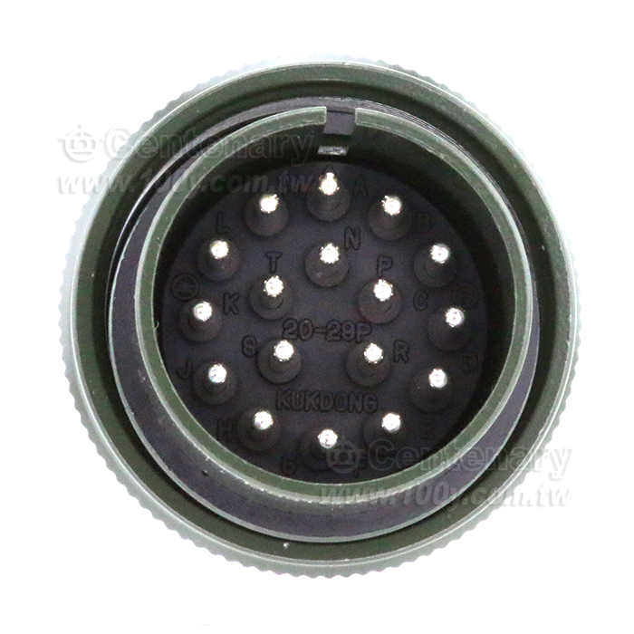 Straight Plug - 22960 Product Image