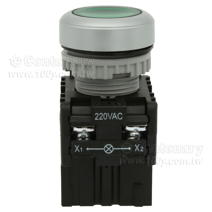 直照平頭 LED220V - 94746 產品圖片