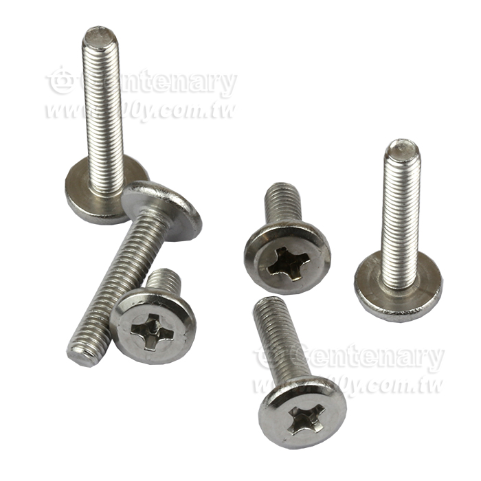 不銹鋼扁圓頭-BM-M3*14mm - 159463 產品圖片