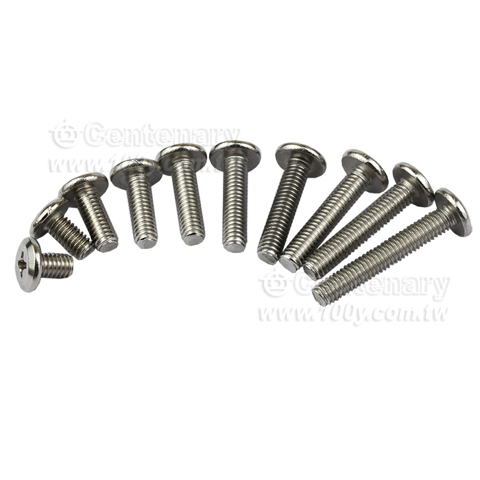 不銹鋼扁圓頭-BM-M4*6mm - 159466 產品圖片