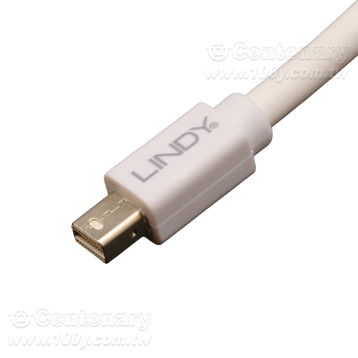 Mini-DP公頭對DP母頭連接線 0.2M 白色 - 163579 產品圖片