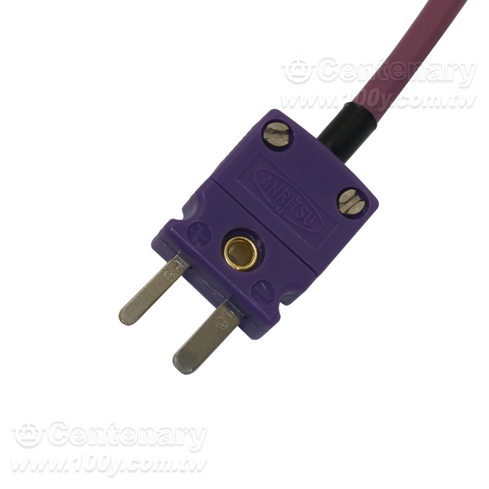 探針式溫度測棒 - 95950 產品圖片