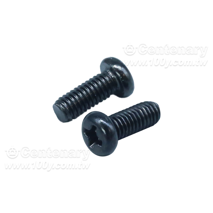 304  PM  Screws - 162461 Product Image