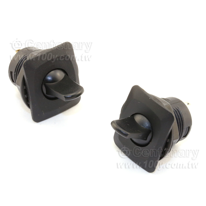 Toggle Switch - 55525 Product Image