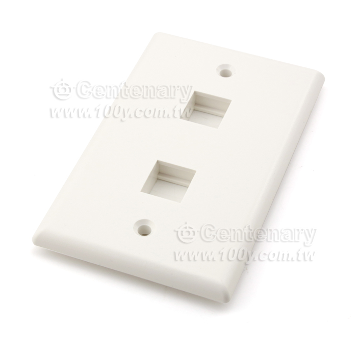 RJ45 Wall Outlets Cover (2 Apertures) - 14240 Product Image