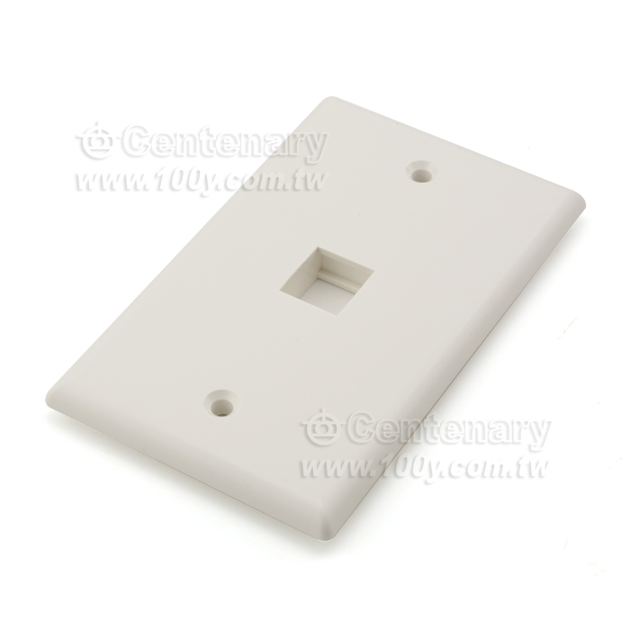 RJ45 Wall Outlets Cover - 14239 Product Image
