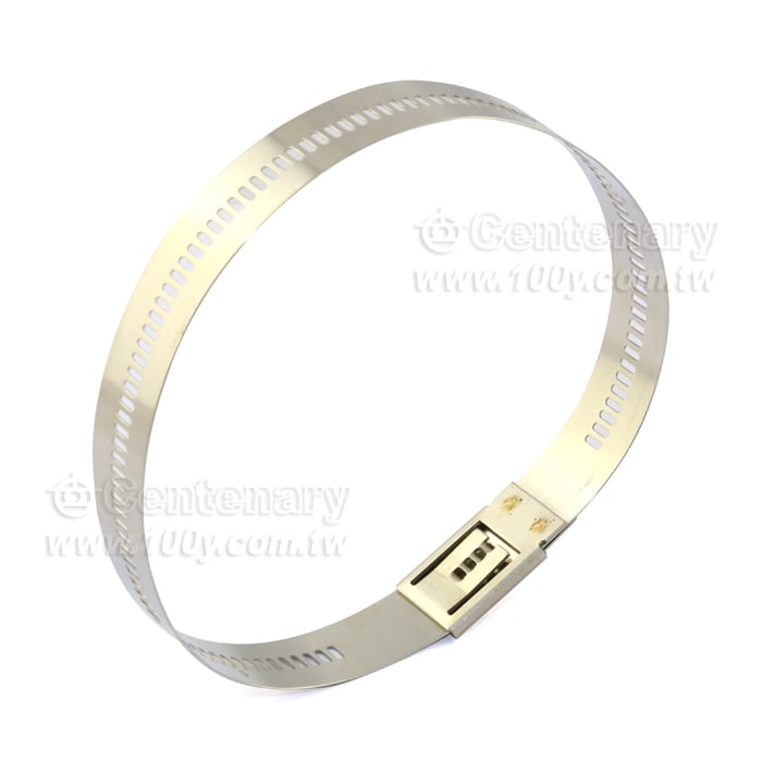 不銹鋼束線帶 L:255mm - 19803 產品圖片