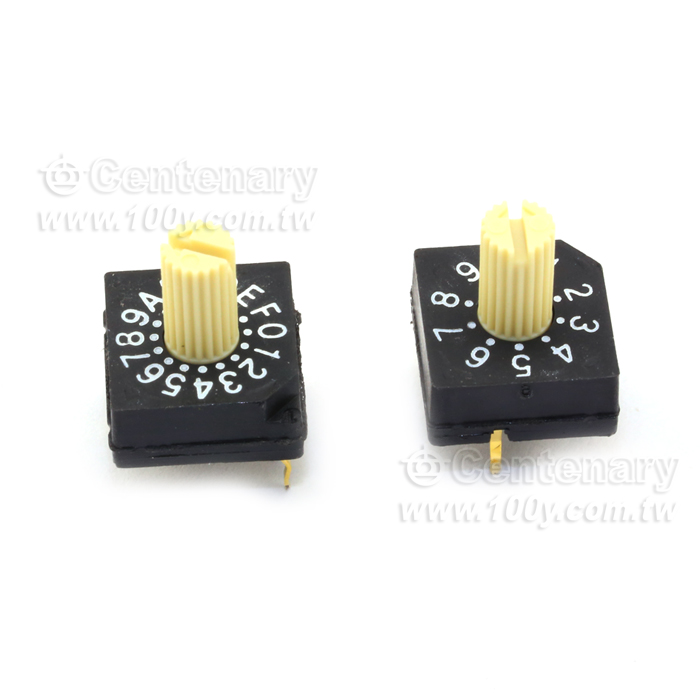 DIP/旋轉選擇開關 (ROHS) - 21769 產品圖片