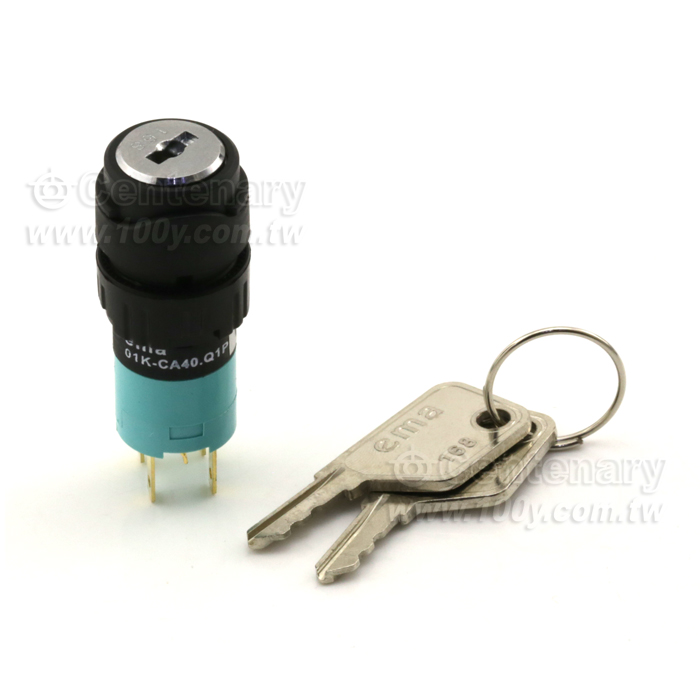 2P Keylock Switch - 22299 Product Image