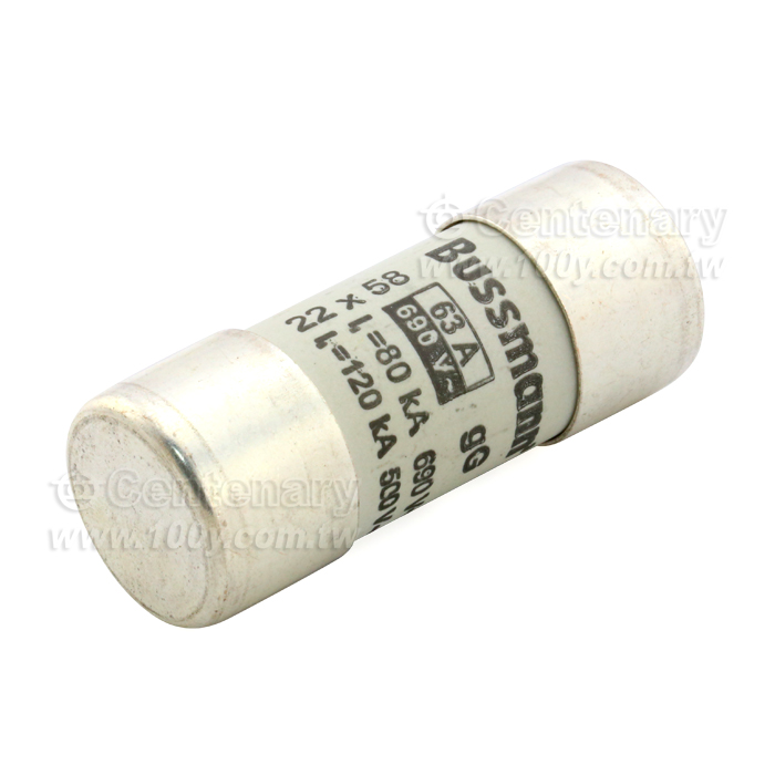 IEC 125A/400V 22*58 - 39156 產品圖片