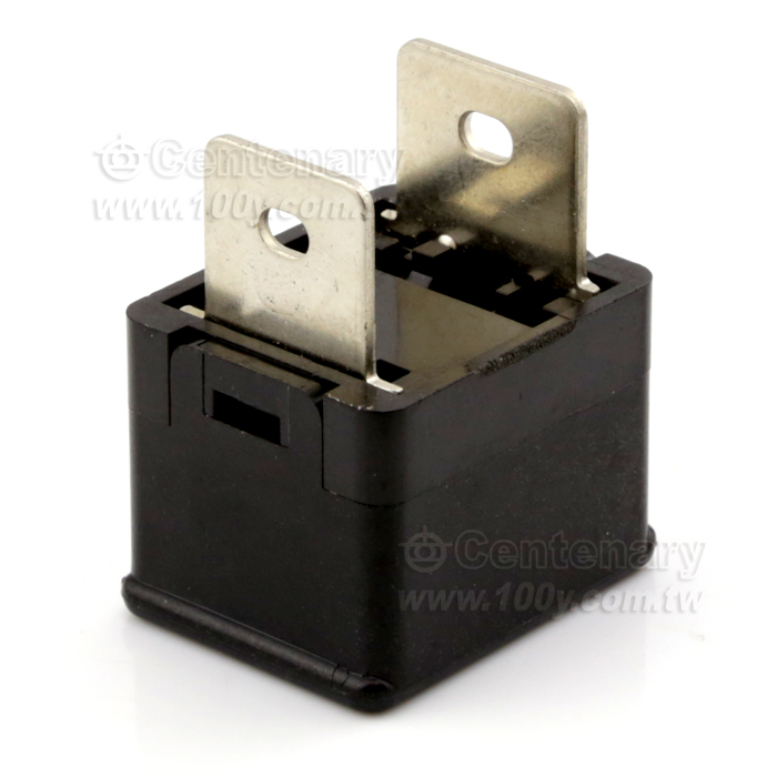 保險絲 30A  125V - 79111 產品圖片