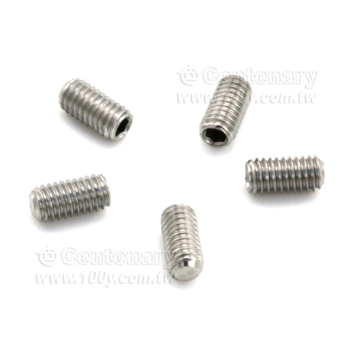 DIN913 304 止付螺絲 - 65927 Product Image