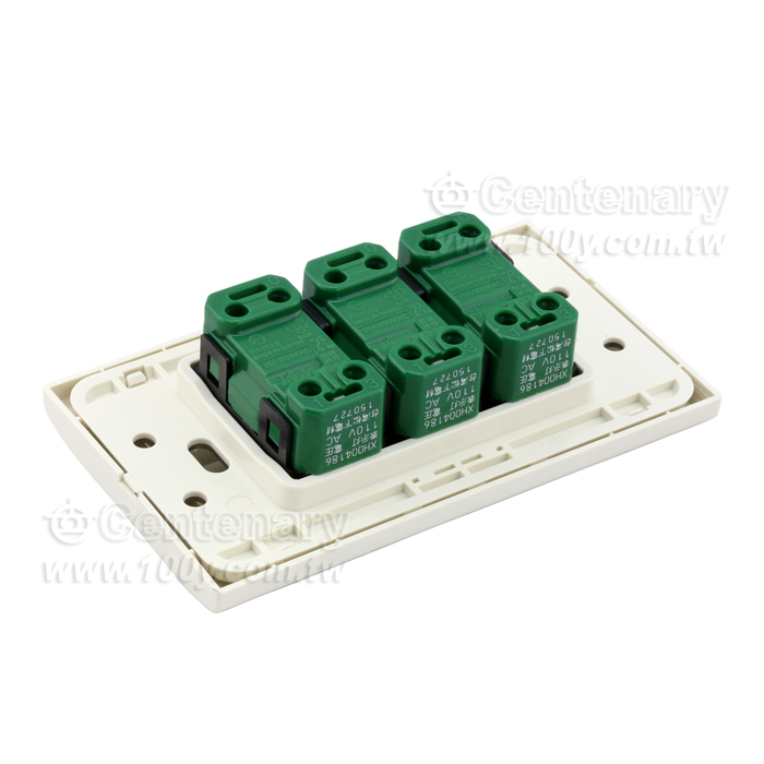 埋入式螢光開關C(參) (附蓋板)15A 110V AC用 - 108841 產品圖片