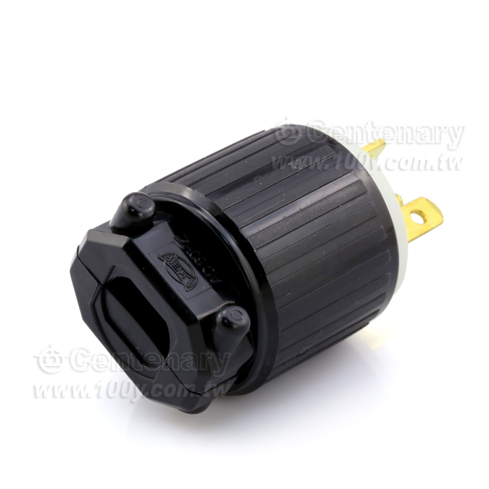 6-20P Straight Blade Plug - 108903 Product Image