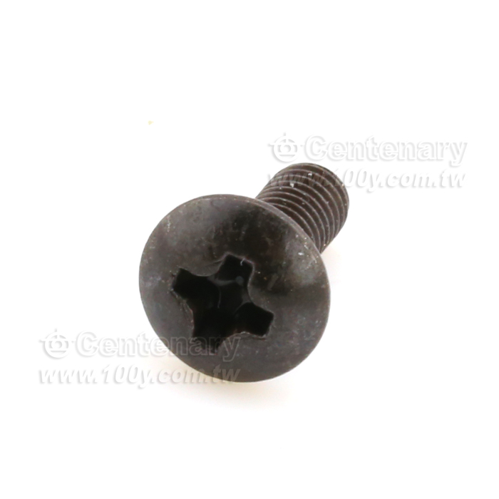 大扁頭螺絲 ⊕字 M3*12 - 111012 產品圖片