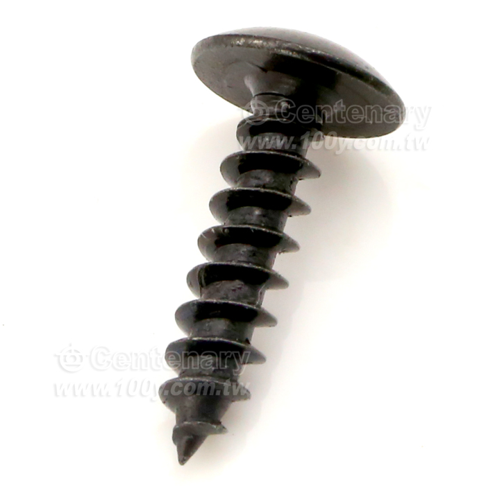 染黑大扁頭尖尾螺絲 ⊕字 M4*16 - 115361 產品圖片