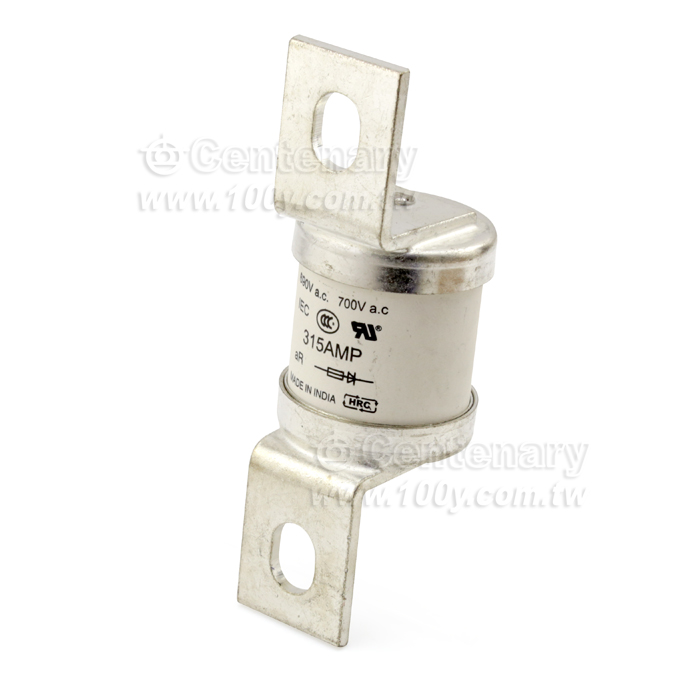 315A  690V - 41703 產品圖片