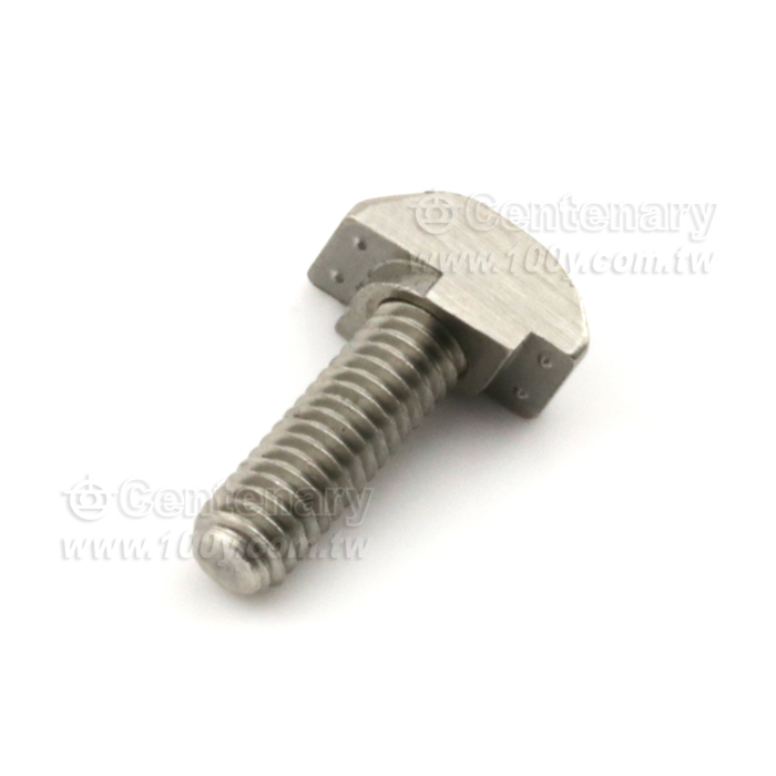 Square Aluminum Extrusion Type Rear Mounting Bolt - 119731 Product Image