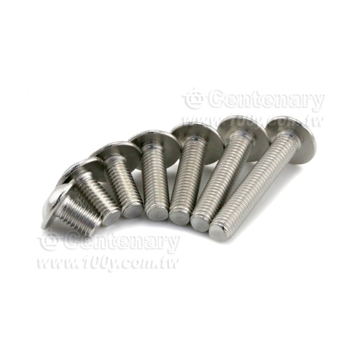 304-圓頭內六角帶墊螺絲-M5*40 - 163676 產品圖片