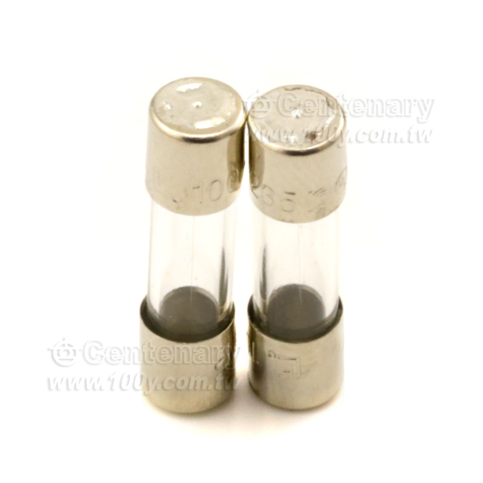 快熔保險絲 300mA/250V - 96773 產品圖片
