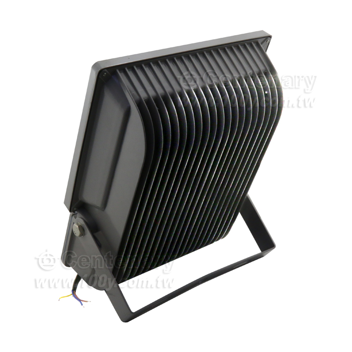 100W LED投光燈 正白光 AC85-265V - 109441 產品圖片
