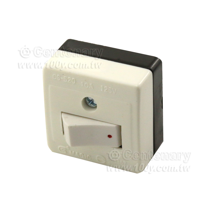 平開關檢驗品 10A/125V - 96588 產品圖片