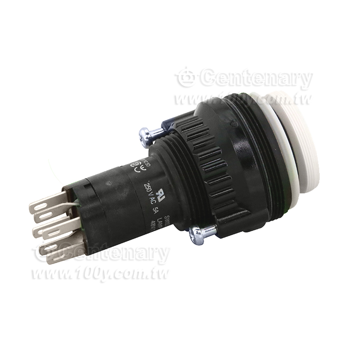 eao 按鈕開關 DPST-NO/NC - 150261 產品圖片
