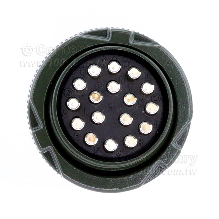 Straight Plug - 22960 Product Image