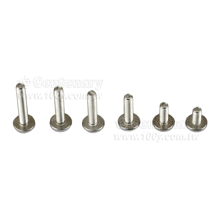 不銹鋼扁圓頭-BM-M3*14mm - 159463 產品圖片