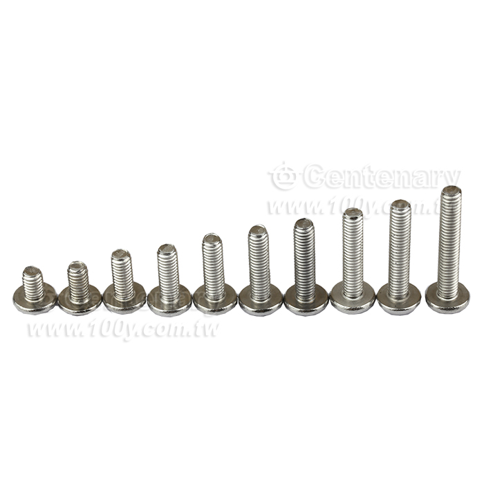不銹鋼扁圓頭-BM-M4*6mm - 159466 產品圖片