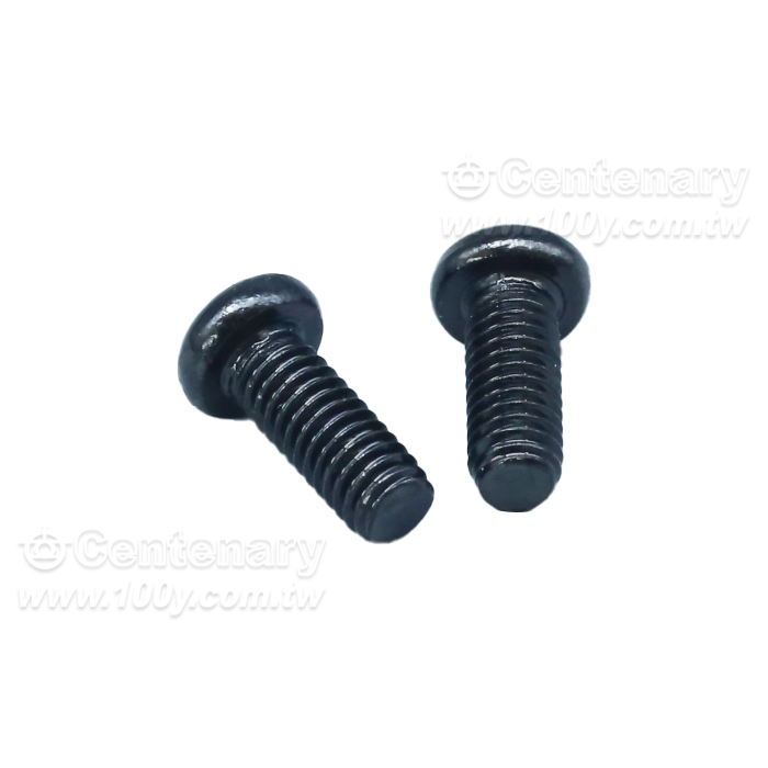 304  PM  Screws - 162461 Product Image