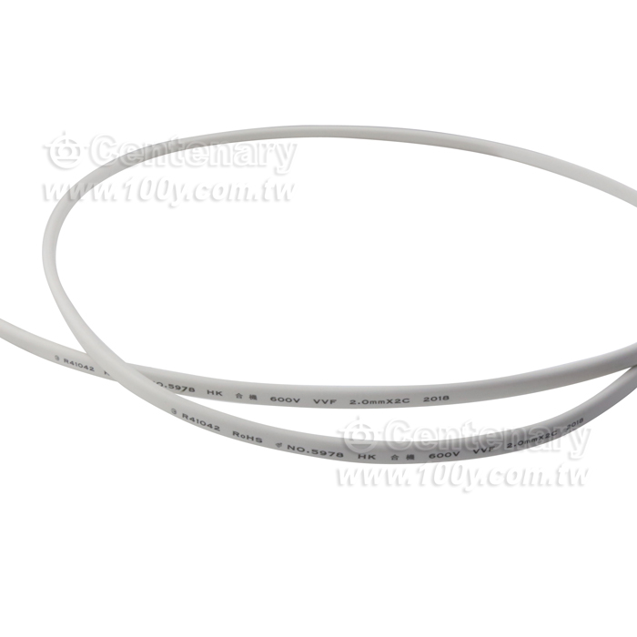 白扁線 2mm*2C 600V - 13913 產品圖片