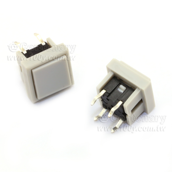 10*10  灰方框灰面(ROHS) - 18094 產品圖片