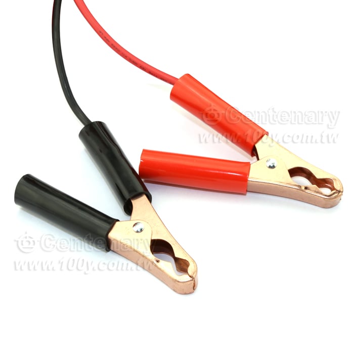 自動偵測電池充電器12/24V 15A(220V) - 47307 產品圖片